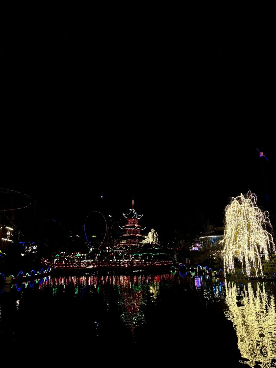SCENIC VIEWS: Another view | was looking at from the sidelines. The tree on the left is the same tree I'm standing in front of. Next to it stands a traditional Chinese temple in front of The Demon, Tivoli's largest roller coaster.